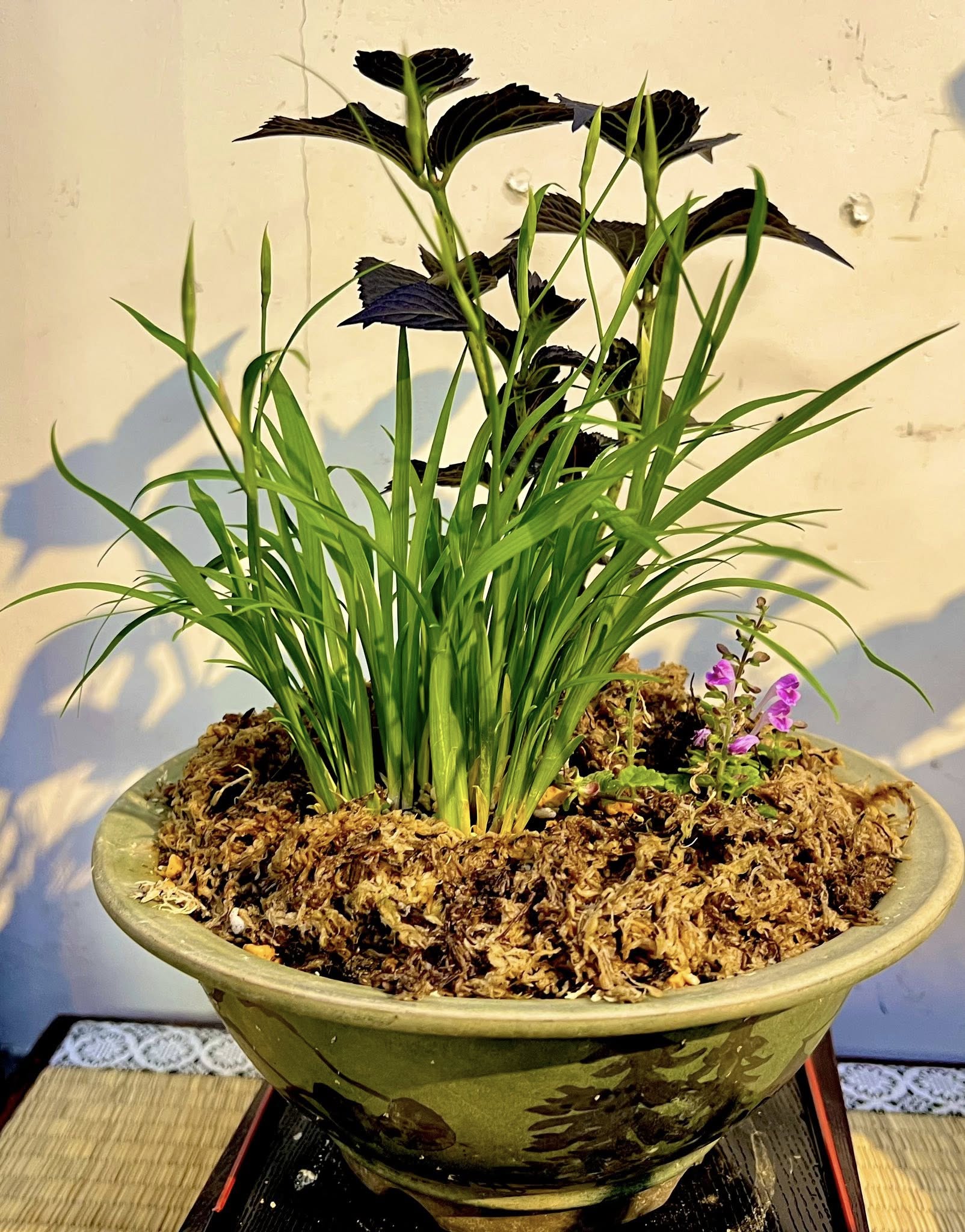 作家紹介