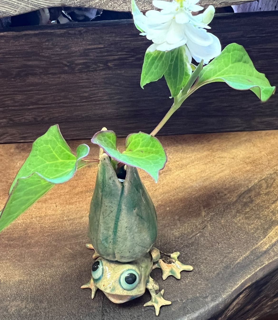 作家紹介