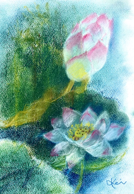 花のイラスト