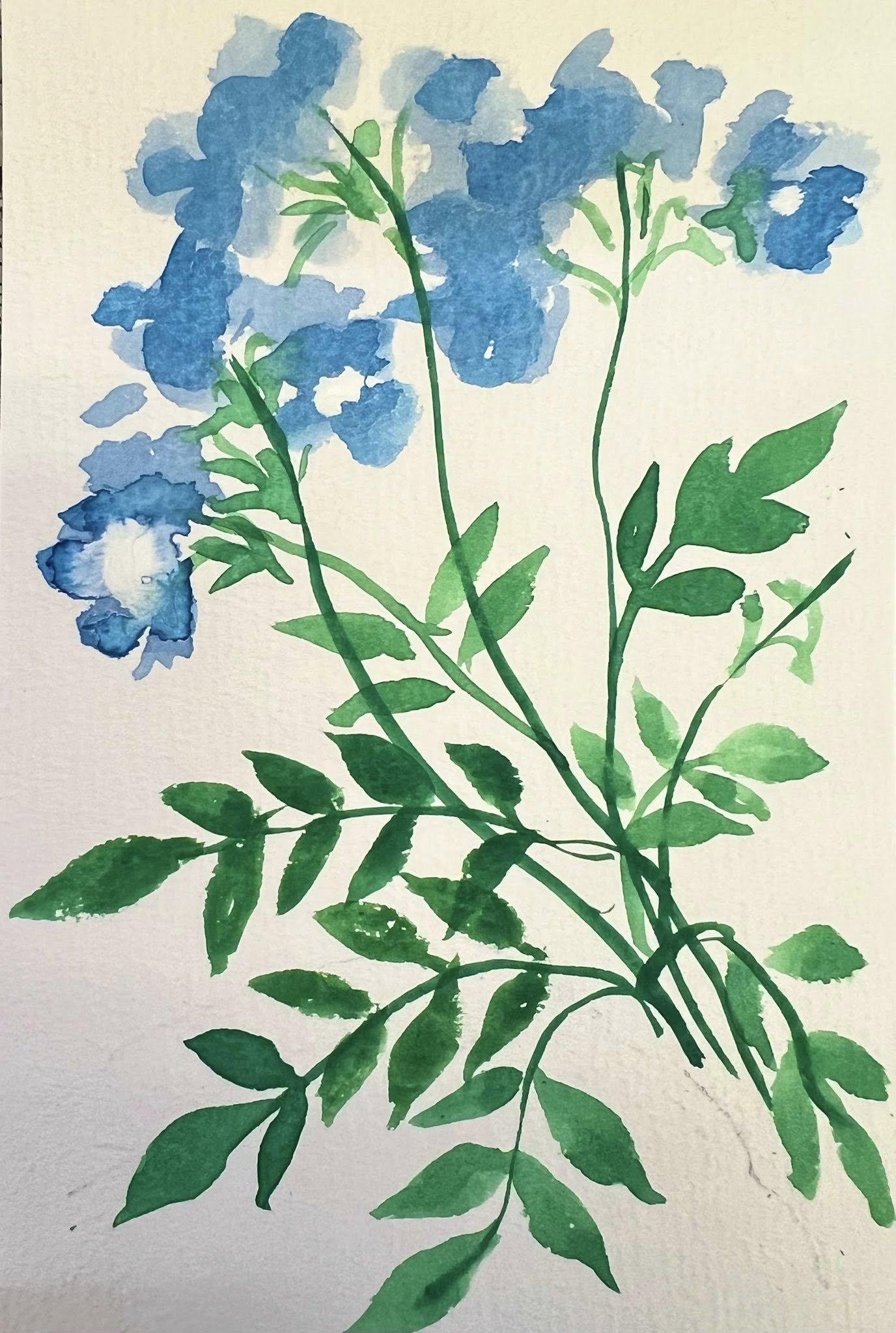 作家紹介