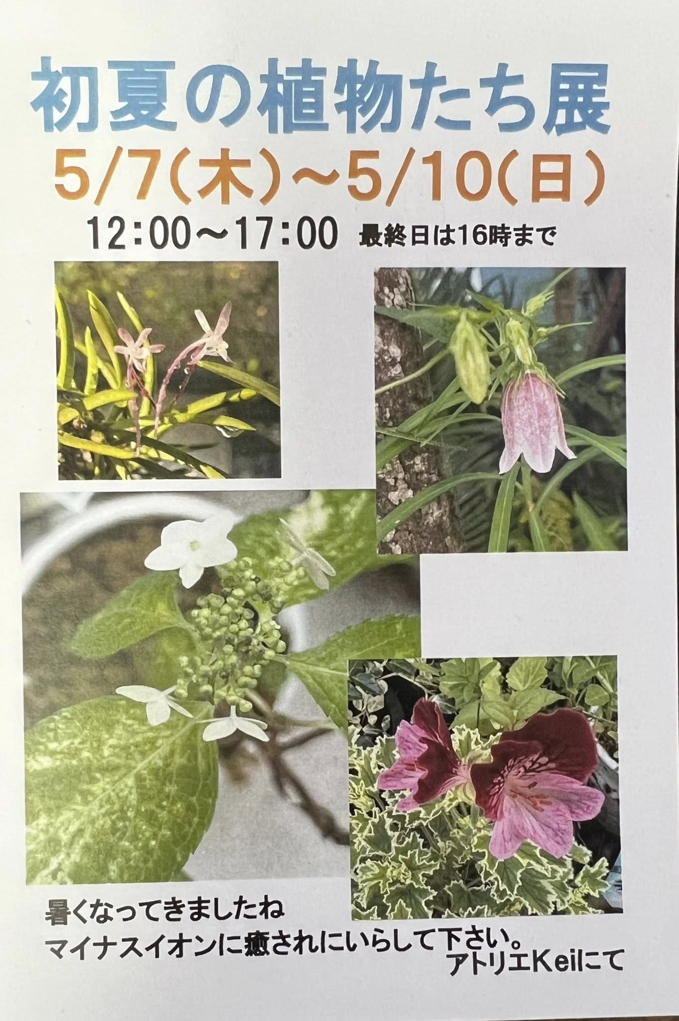 作家紹介