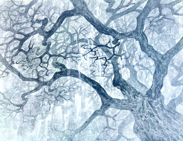 作家紹介